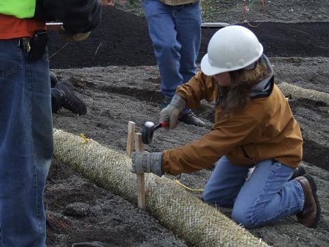 Jamie Davis staking in straw wattle